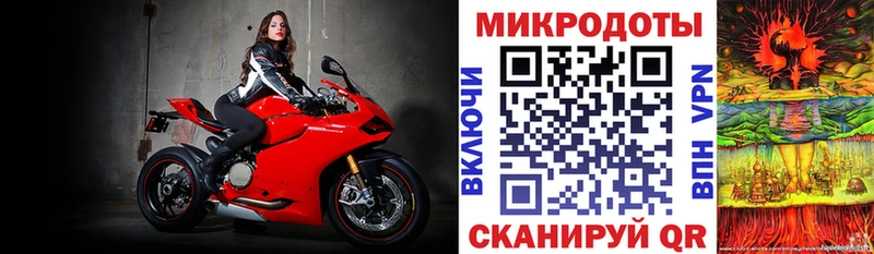 Купить где  Видное  Псилоцибиновые грибы Psilocybe 